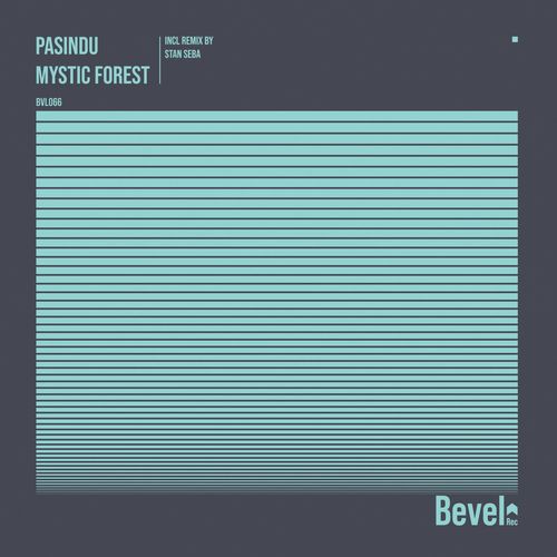 Pasindu - Mystic Forest [BVL066]